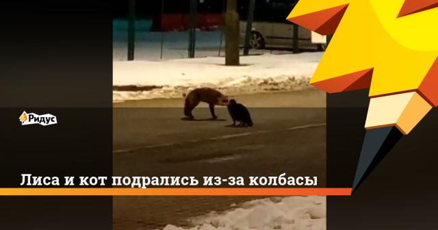 Срочные новости из Польши