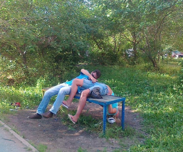 Скотсети и прочие интернеты 25.06.19