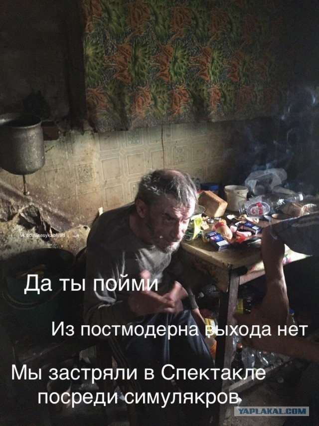 Бредзона картинок 20.11.2019