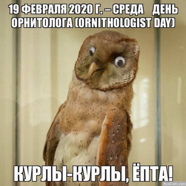 Календарь намекает, что завтра пятница!