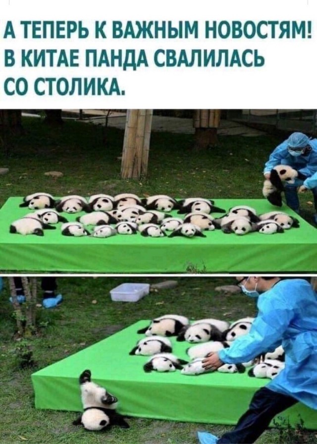 Последние новости