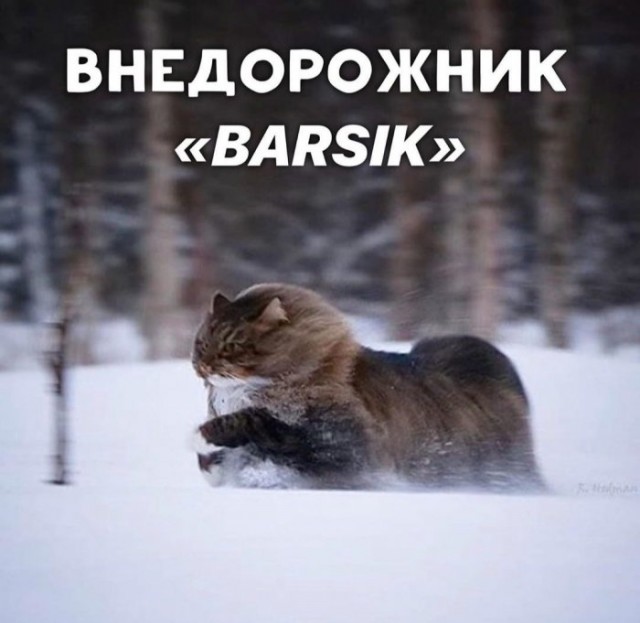 Внедорожник "Barsik" - создан удивлять