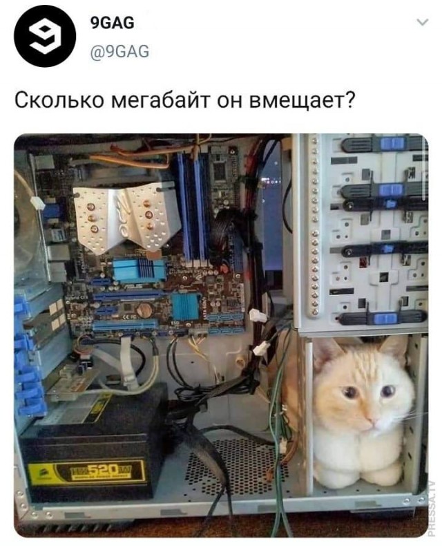 Немного картинок для настроения 11.11.20