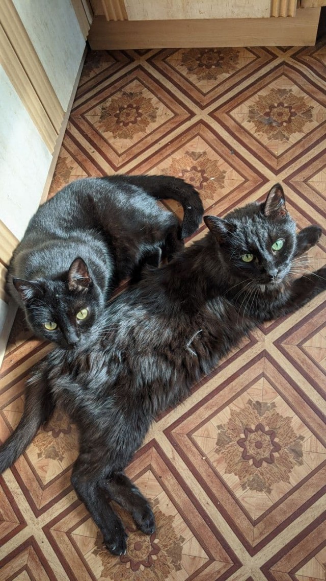 Моя красотка