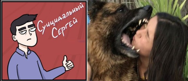 Не бойтесь, он добрый и не кусается