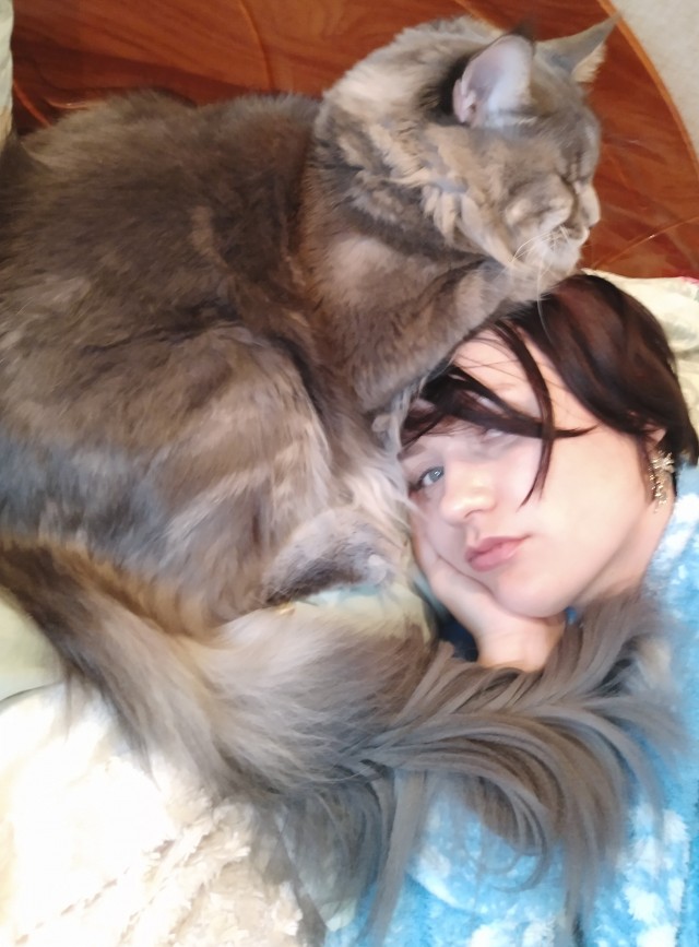 Коты их видят...