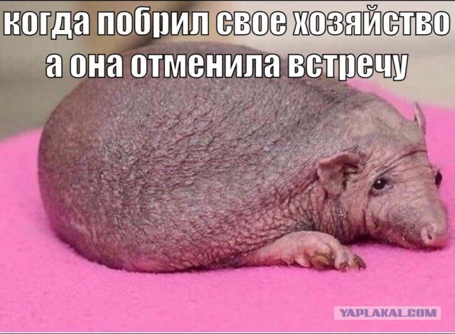 Скандал в очереди. Я склочная баба или паладин  в сверкаюших доспехах?