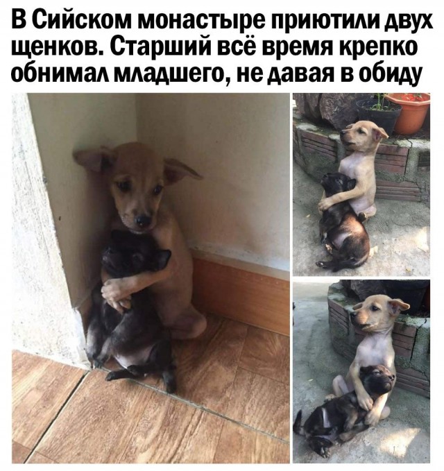 Так себе картинки 1.05.21