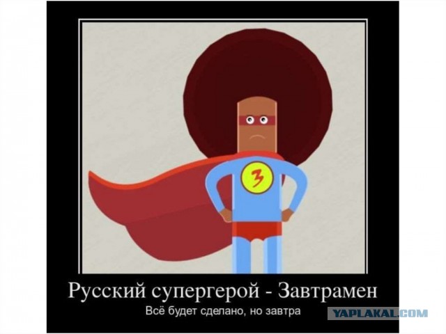 Скотсети и прочие интернеты 07.07.21