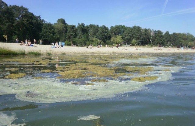 В Анапе что-то гадкое и черное льется из реки в море. Но всем пофигу