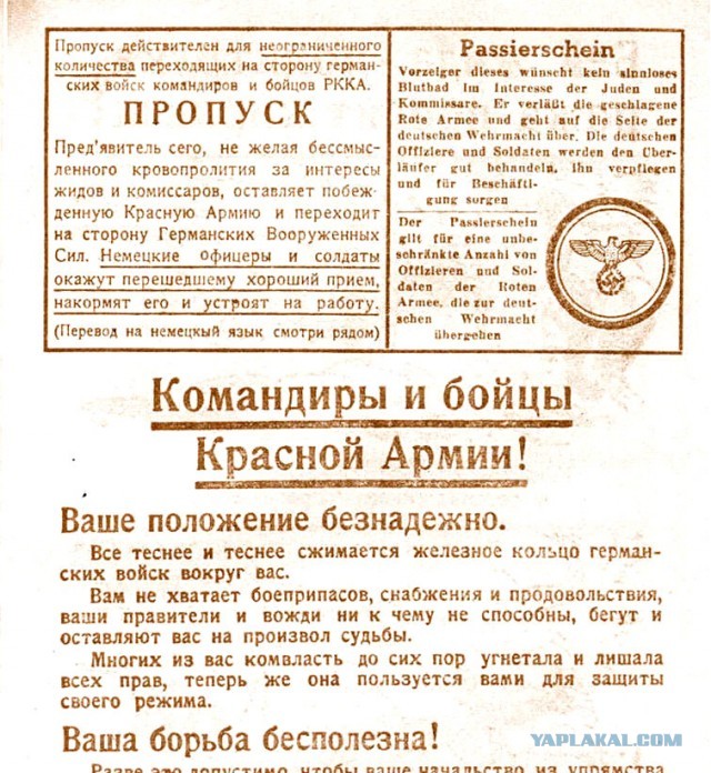 Про эти ваши куриные коды
