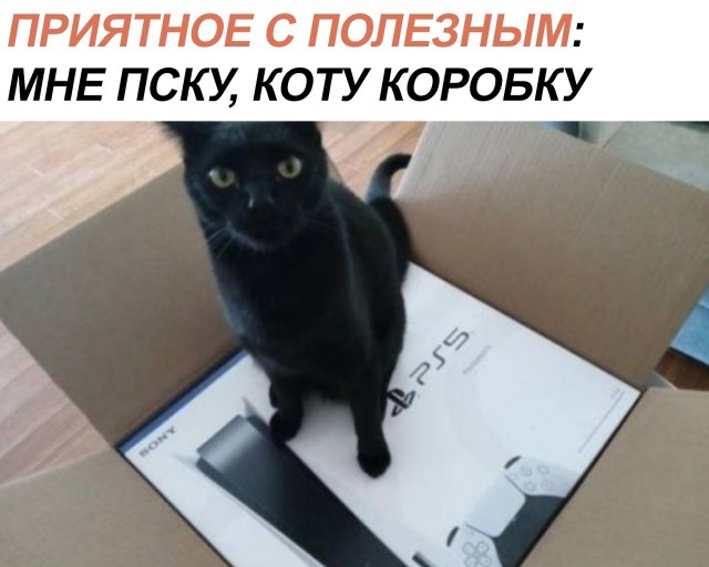 Так себе картинки 01.12.21
