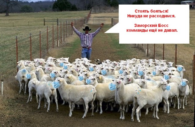 Апокалипсис 2022+