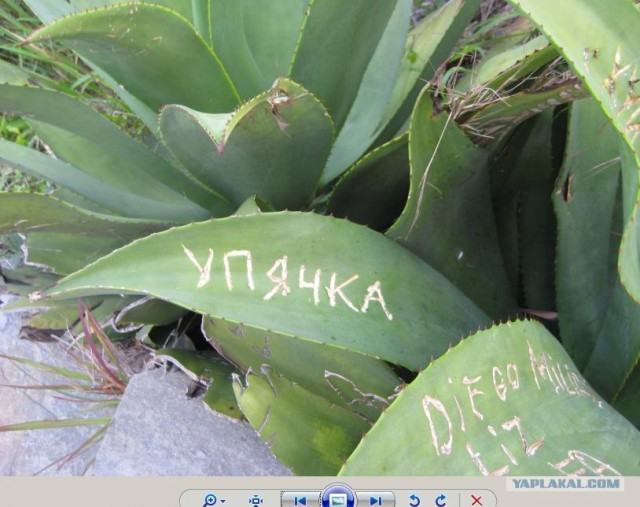 Поездка в Коста-Рику