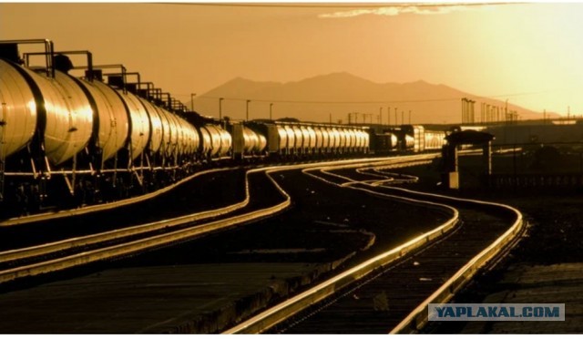 Бахнет или нет?