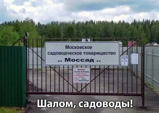 Картинки с надписями 27.06.22