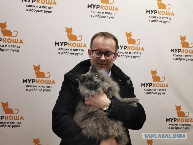 Появился у меня ещё один друг...