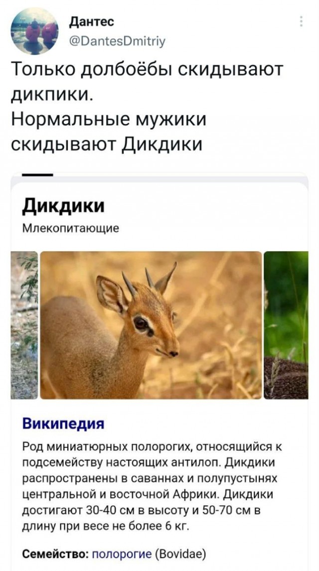 Картинки и мемы для настроения - 009