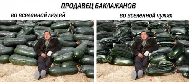 Первые ночные заморозки! Пора хвастаться урожаем, Дачники! Дела огородные