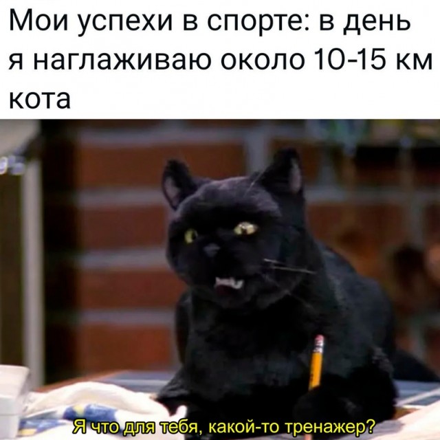 Картинки и мемы, всем хороших выходных