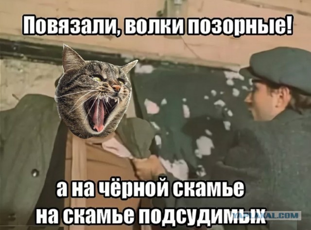 Теперь не отвертишься