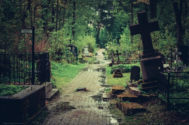 Немного атмосферных фото со старых кладбищ