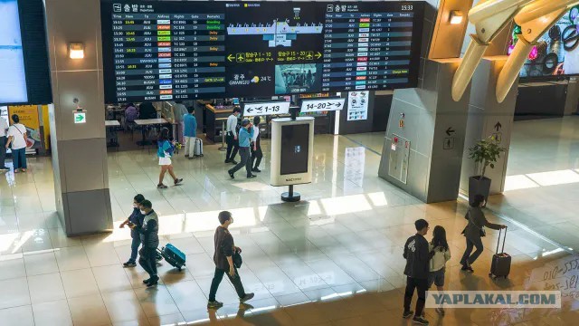 Уехавшие от мобилизации россияне несколько месяцев живут в аэропорту Сеула