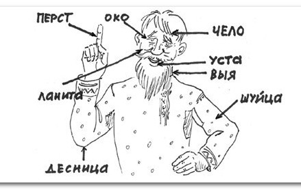 Дума приняла закон о контроле за соблюдением норм русского литературного языка