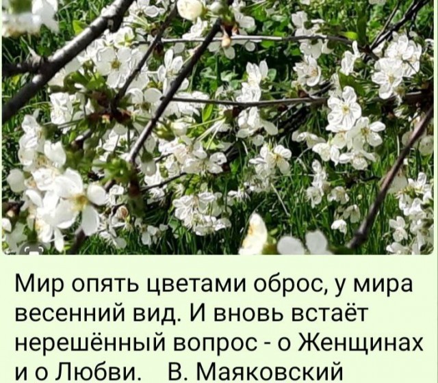 Победная поступь идиотизма по планете – том 12
