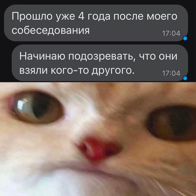 Так себе картинки 03.07.23