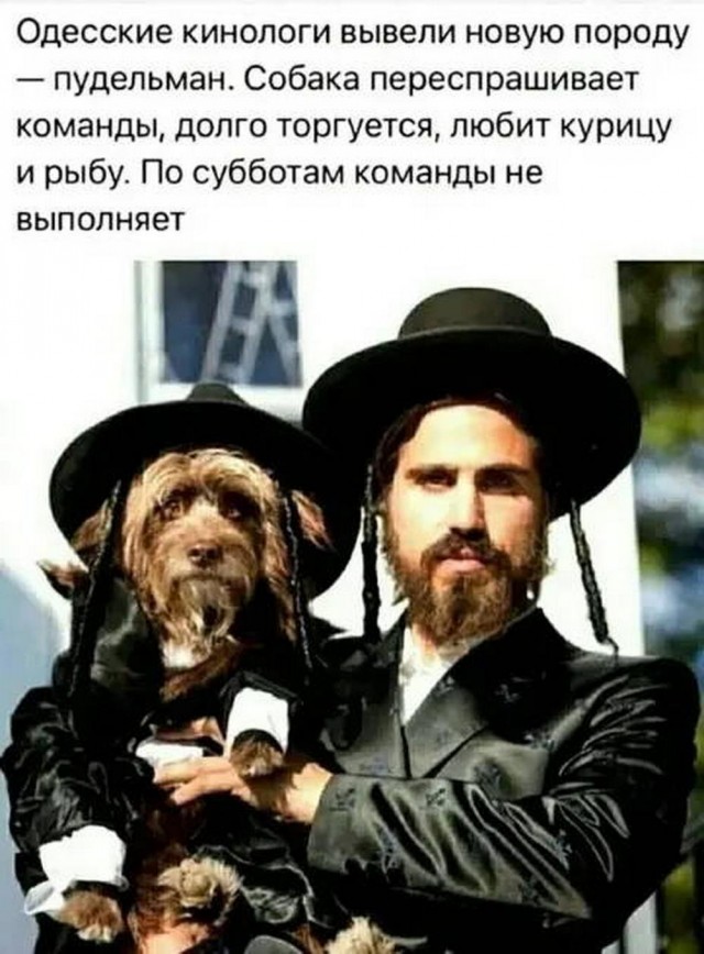 Нуштош 26.07.2023