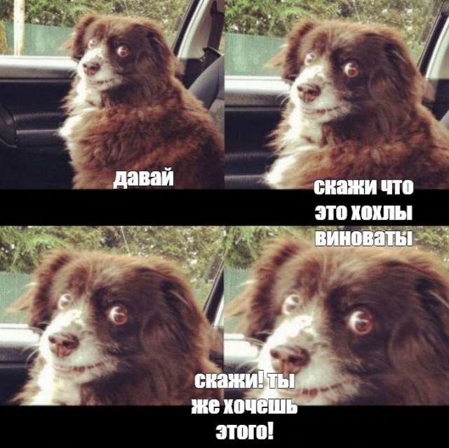 Беспилотники в Смоленске.
