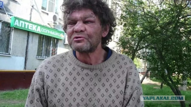 8 картинок с подписями, коллеги!
