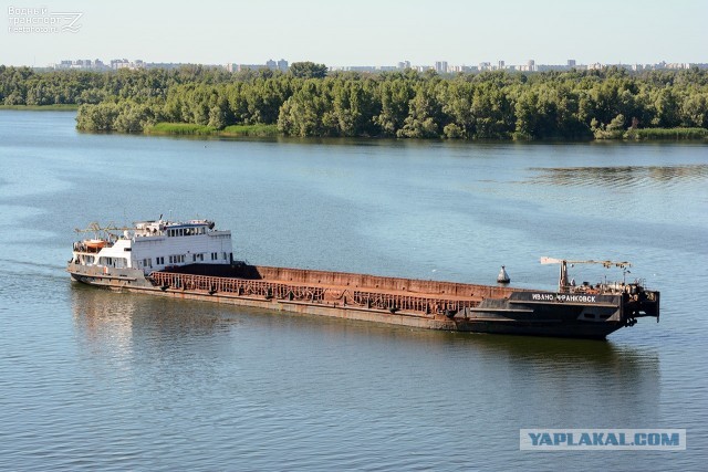 МореЯПа