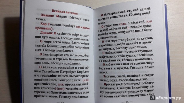 Хороняка, Гойда, Паки и еще несколько старословянских слов в "Иван Васильевич меняет профессию"