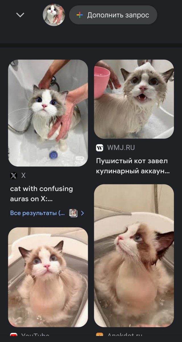 Необычный цвет глаз