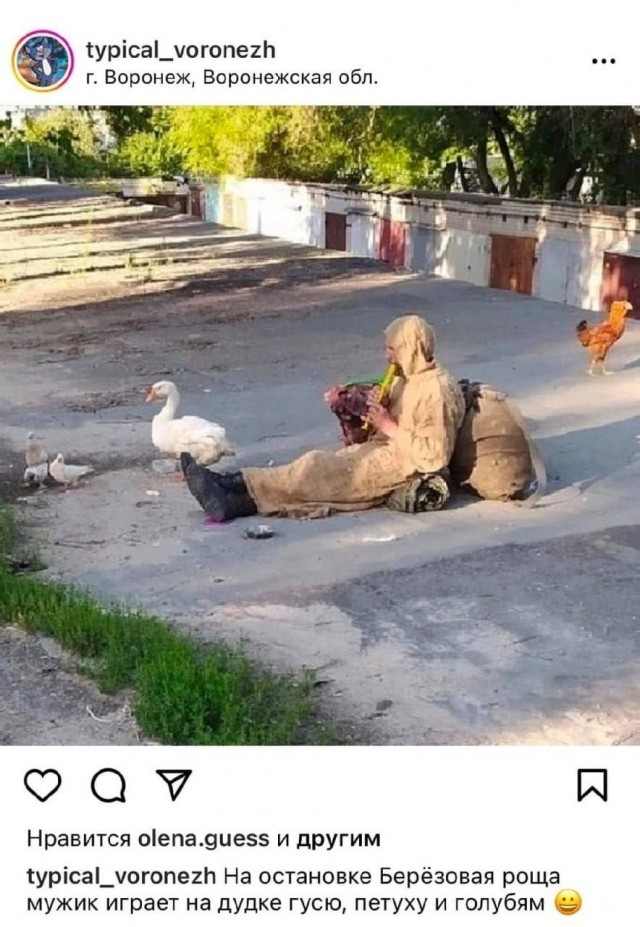 Парад гусей