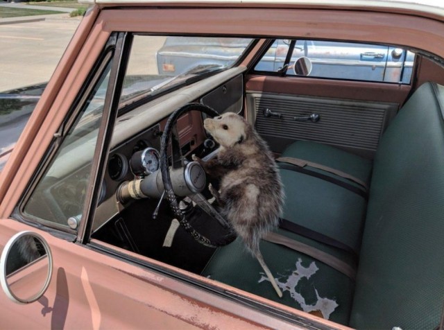 ФотоВинегрет