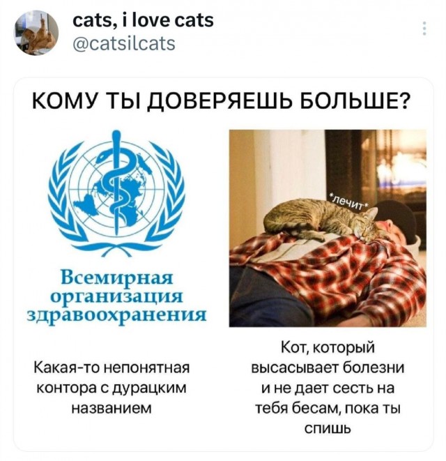 Конечно коту я доверяю
