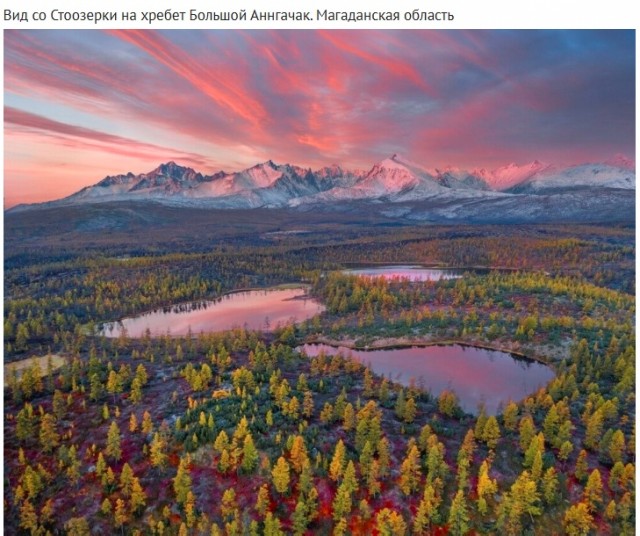 Так себе картинки 11.11.24