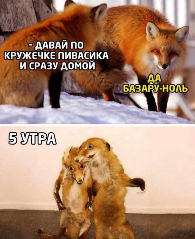 Картинки разные с надписями и без