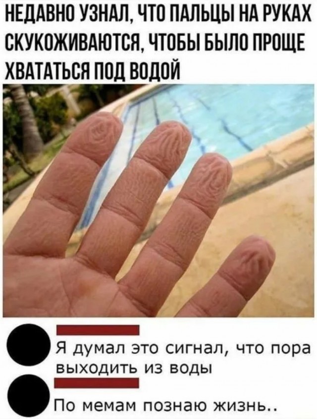 Завалялось тут случайно немного забавных картинок