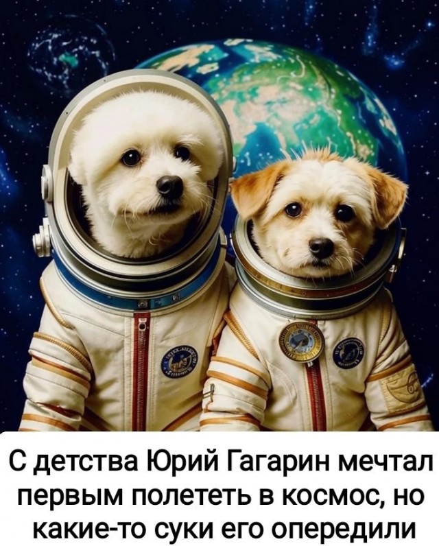 50 картинок с курсов игры на баяне