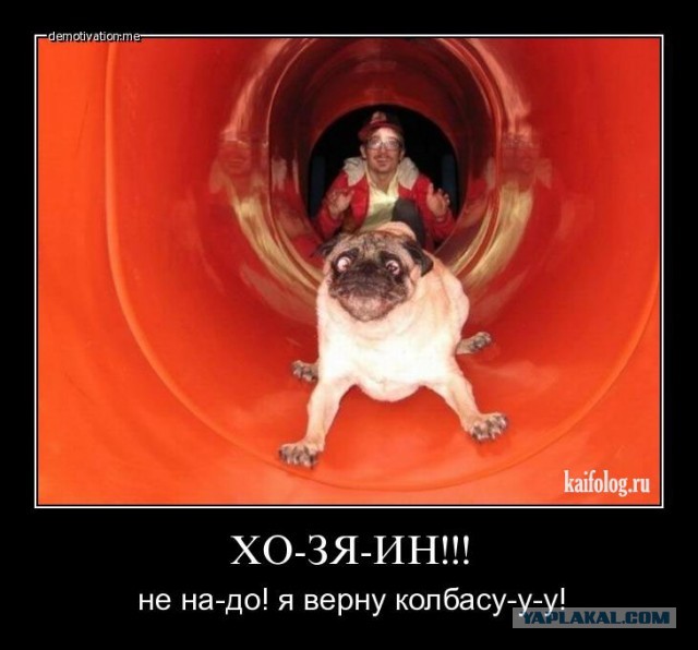 А давайте еще фотаться!