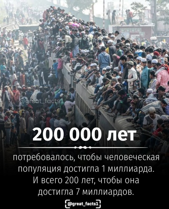 Так себе картинки 22.06.25