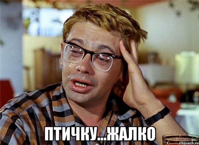 Ястреб пехотинец