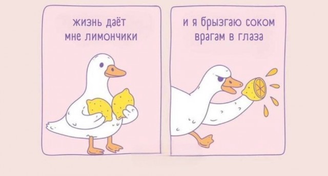 Так себе картинки 02.07.25