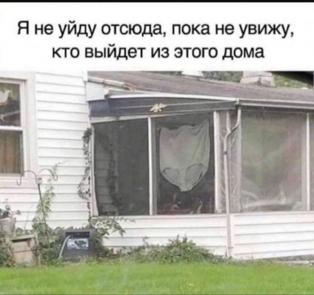 Так себе картинки 04.07.25