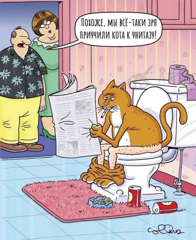 Давно не было....