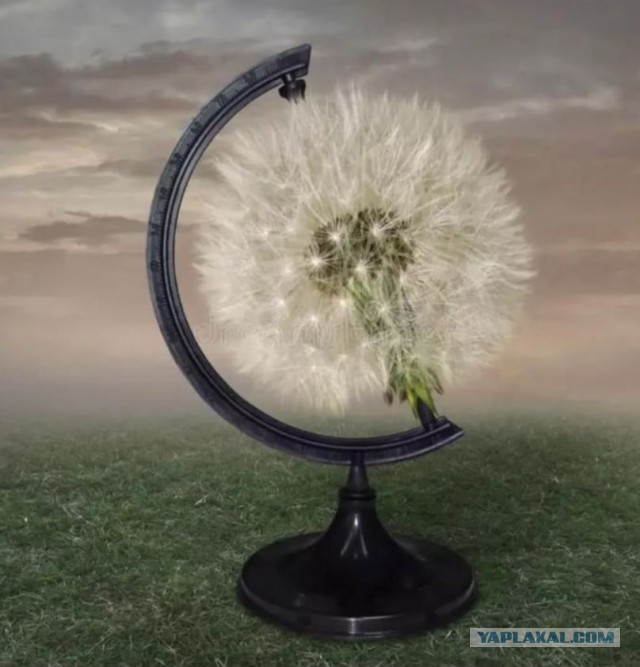 Ведь мы могли бы ...